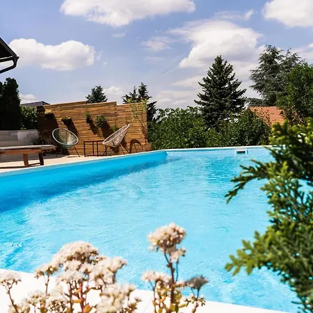 Villa Todor Boutique House Sremska Kamenica