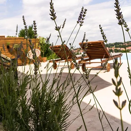Todor Boutique House *